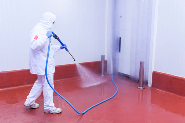 Pre-Holiday Cleaning in Adair Village, OR